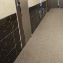 호텔 아벤트리 여의도 | 여의도 aventree호텔 카펫 바닥 청소 후기