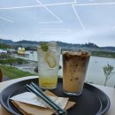 하랑유치원 | 시흥 실내애견카페 - 퍼피클래식