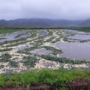 광주공항지하철역 이미지