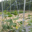 민서농장 이미지