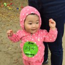 수아농장 이미지