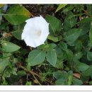 텃밭식당 이미지