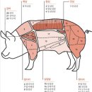 고기상점 이미지