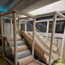 유토피아황토방 이미지