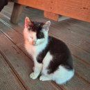 해양낚시펜션 | 고흥 여행ㅣ고흥펜션 거금도펜션 거금해양낚시공원 바로 앞 오션뷰 앙뜰펜션