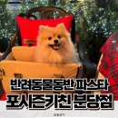 더키친바이울엄마 | 분위기 좋은 성남 반려동물동반 파스타, 포시즌키친 분당판교직영점 내돈내산 후기