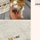 미라클쉼터 이미지