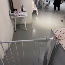그냥개가좋아