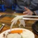 오징어바다 티스토리