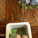 광안뉴욕치과의원 | 사장님 남는 게 있으신가요..?, 또 내돈내산 광안리 마사지/오하라 스파마사지