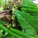 큰집농장 이미지