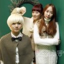 베베미뇽 이미지