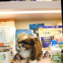 달링하이울산 이미지