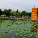 두물머리 이미지