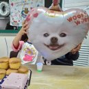 송지면사무소 | 해남가볼만한곳 : 땅끝황토나라테마촌 숙박 : 카라반