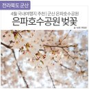 2024년 4월 5일(금) "군산벚꽃" &amp; 공감선유 이미지