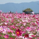 대전지구 가을 야유회 공지 이미지