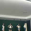 디아이엠 이미지
