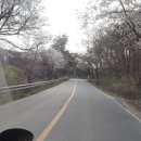 이전봉산길 이미지