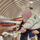 채이농장 이미지