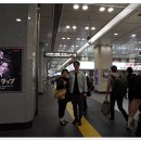머리나라헤어샾 - 창원시 마산합포구 | 머리나라헤어샾