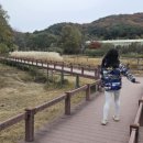 부평생태습지[부평-5] 이미지