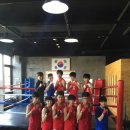 캥거루복싱GYM 이미지