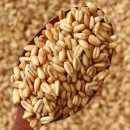 뻥튀긴 방앗간 이미지