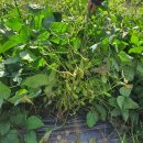 설봉농장 이미지