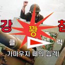 동강 피습! 피해 규모 얼마? 이미지