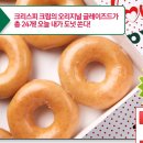 [위메프] 크리스피 도넛 2더즌(24개) 11,000원!!! (3.11~3.13) 이미지