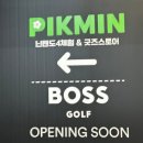 스폿스토어 | 피크민 러버가 다녀온 피크민 팝업 스토어 후기 / 스폿 도전 : 부산 프리미엄 아울렛
