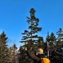 고산편의점 | 고산지대에서도 잘 터지는 일본 eSIM 추천 <인터콜 무제한 5G 로컬 이심> 찐 후기 | 일본이심추천...