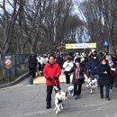 산책길 이미지