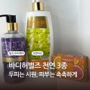 카이로컨디셔닝 | 천연샴푸 바디워시추천｜지성 두피·민감 피부에도 딱! 바디허벌즈 사용 후기