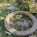 박노수미술관 이미지