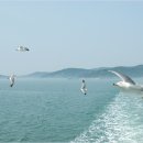 갈매기펜션 이미지