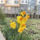 몸펴기 운동(야간) 이미지