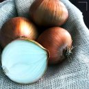 중대농장 이미지