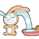 라담헤어