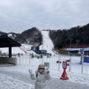 강촌하우스 | 아이와 함께 "엘리시안강촌 눈썰매" 평일 이용후기