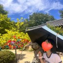 울진건어물 | 서울 출발 포항·경주·울진 1박2일 버스투어 후기 | 국내 패키지여행 추천