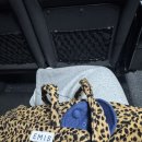 산수축산 | 평택 쿠팡 2센터 IB 입고 후기