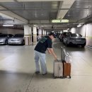 37-A | 임신일기 16ㅣ봄빛병원 제왕절개 출산후기 (feat.37주 양수터짐, 1인실A)