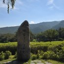 (주)HJ매그놀리아용평호텔앤리조트 | 6월, 용평GC