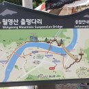 금산 월영산 출렁다리-7.29 이미지