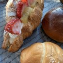 풀빛정원 이미지