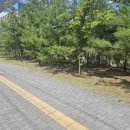 완충녹지13호 이미지