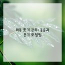 이신일그레이스성형외과의원 이미지