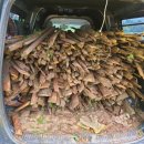 의인농장 이미지